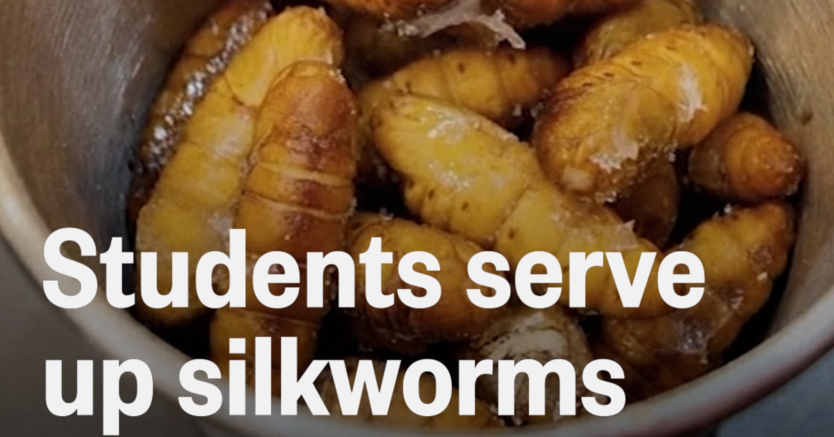 College course teaches cooking insects as food source