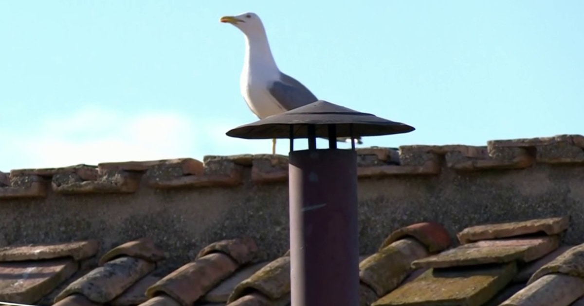 Conclave officially begins to select a new pope