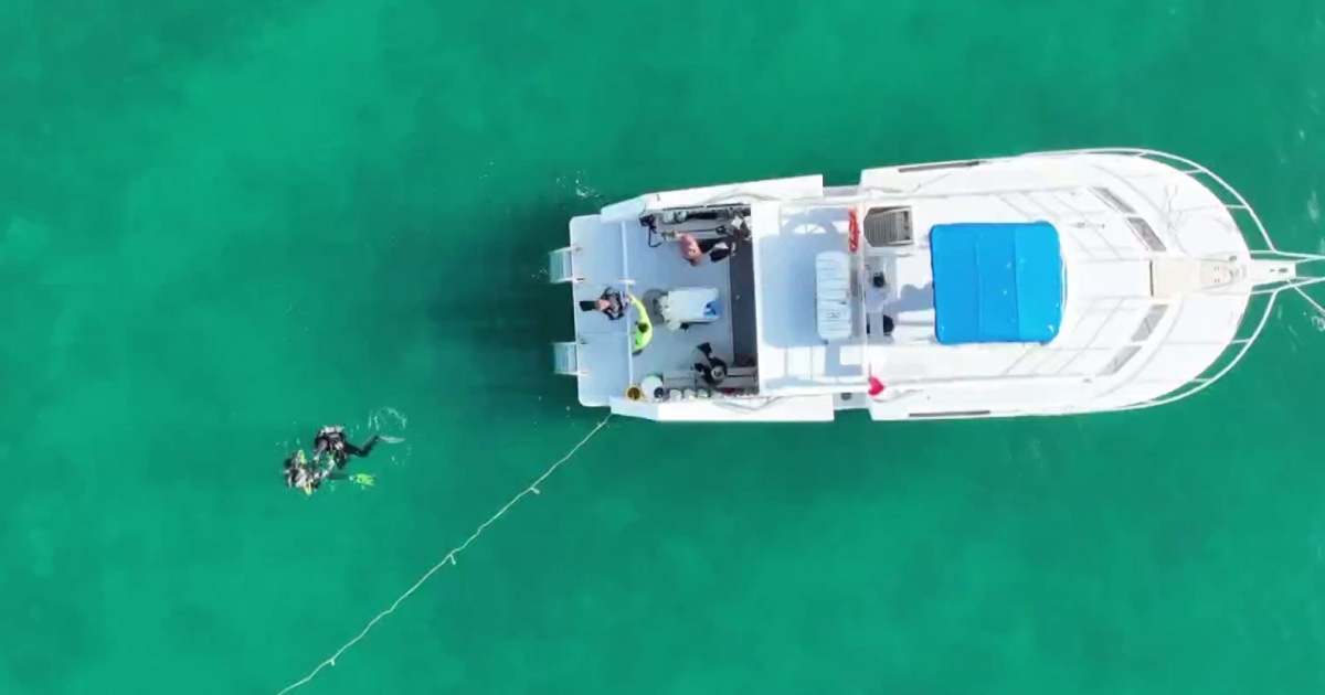 “The Reefline” project aims to protect Miami Beach’s coastline and marine life