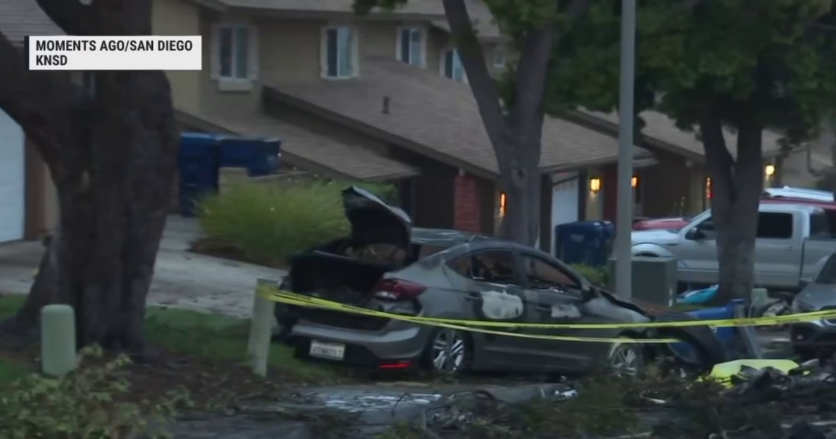 Small plane crashes in San Diego neighborhood