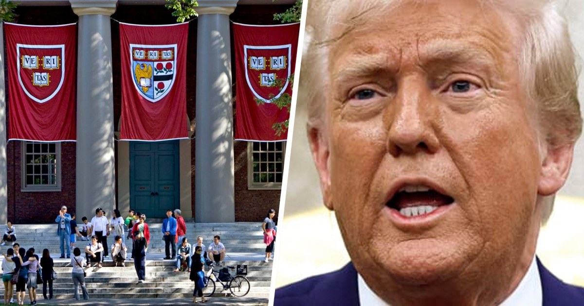 Harvard international student reacts to Trump threats