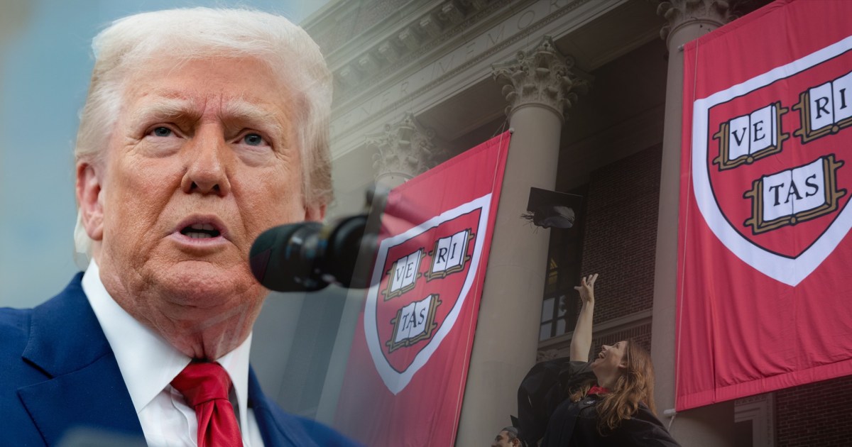 'Real people are involved': Harvard grad on Trump's attack on school's international enrollment