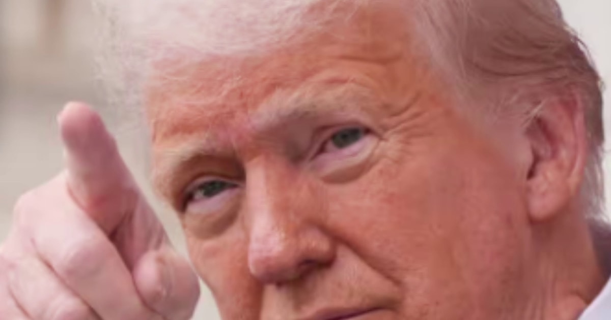 ‘Everything that is not bolted down is for sale’ Fmr. DOJ attorney responds to Trump pardons
