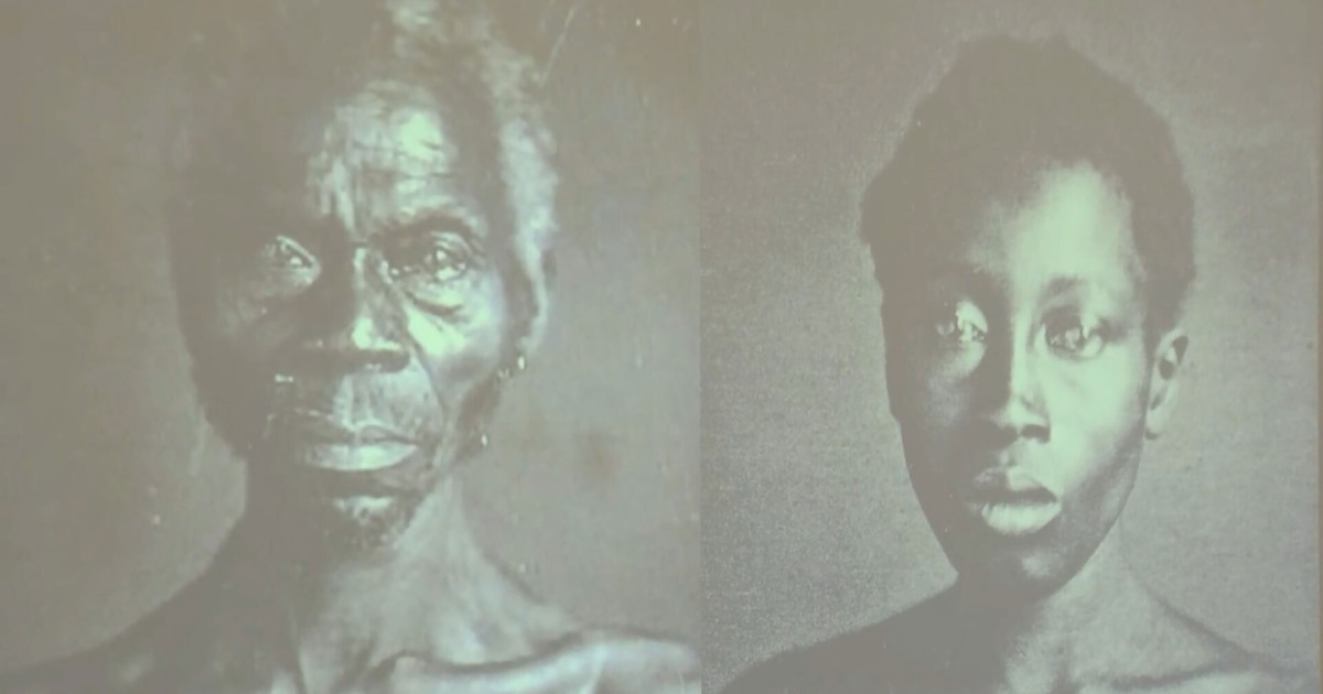 Harvard to give 175-year-old photos of enslaved people to South Carolina museum Harvard to give 175-year-old photos of enslaved people to South Carolina museum