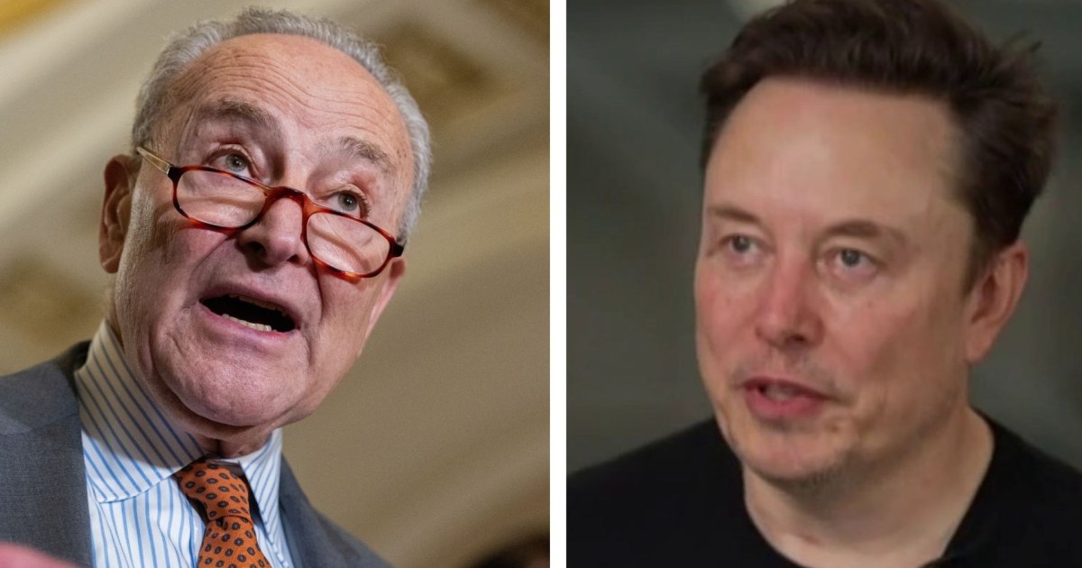 Americans deserve apology from Musk for damage DOGE has created: Sen. Schumer