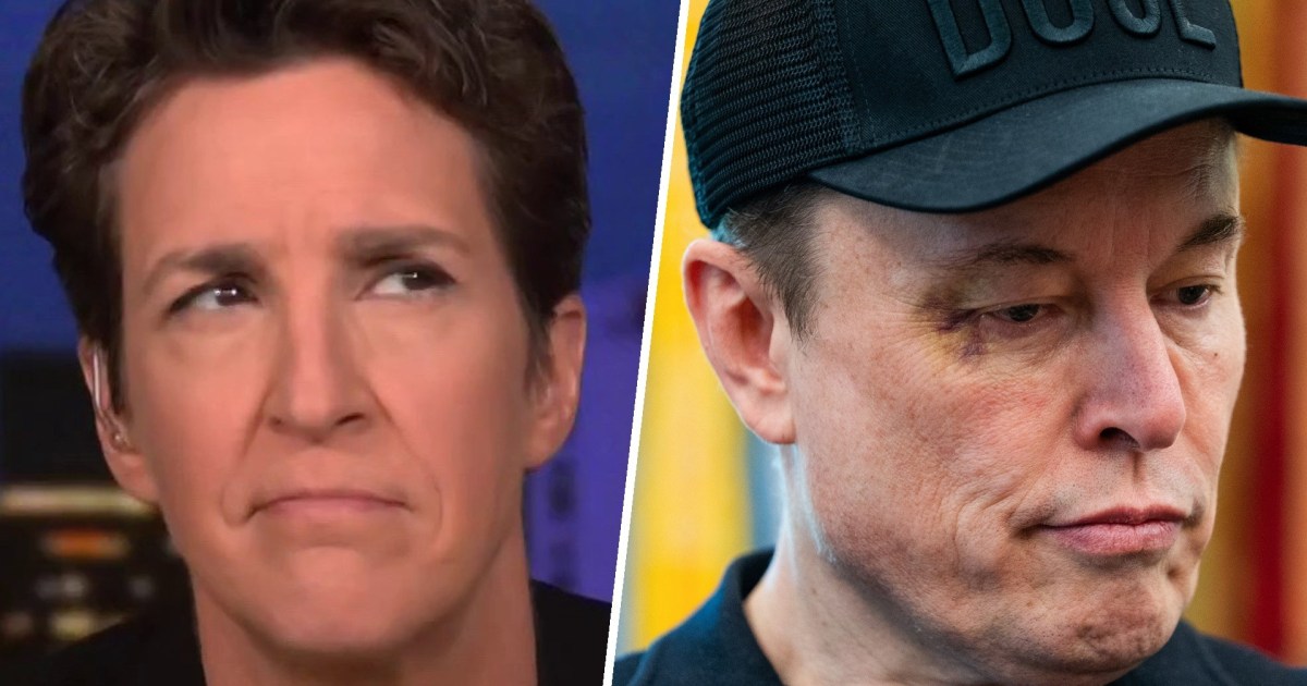 'Pure pointlessness and waste': Musk legacy seen in botched, illegal grab of independent group