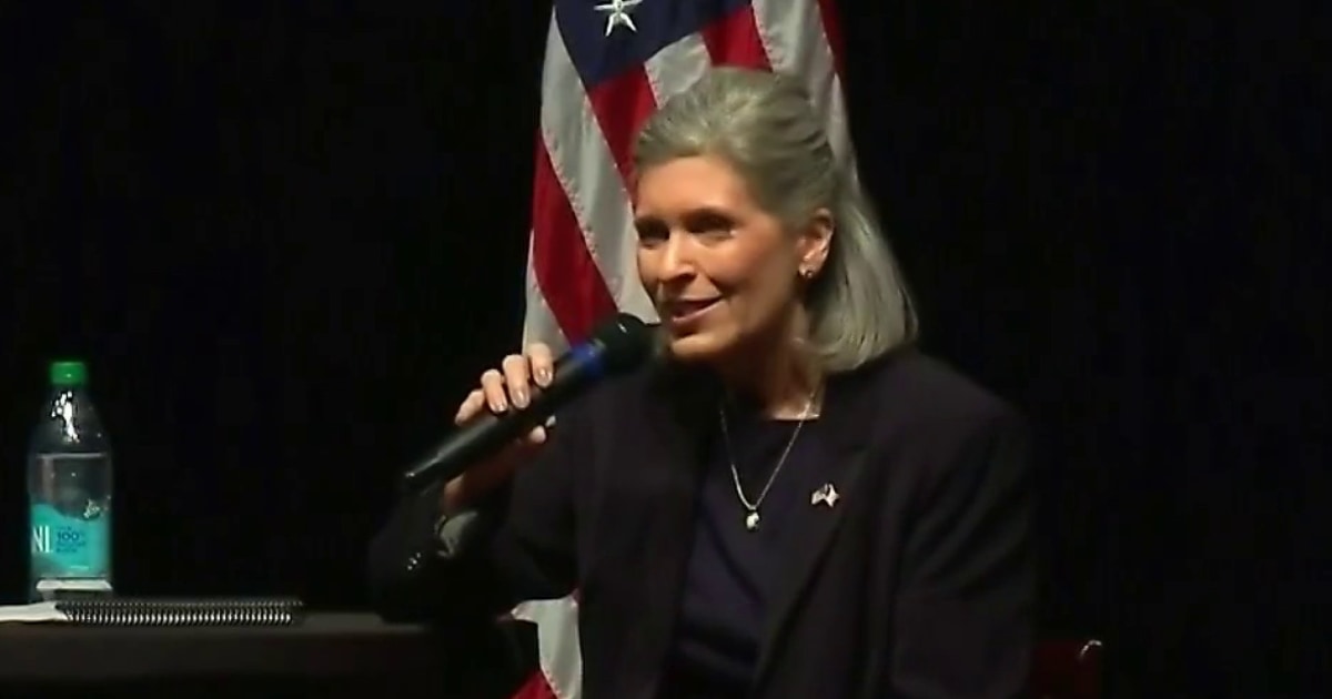 'You're hearing people call her Joni Hearse': Ernst challenger on backlash to Medicaid comment