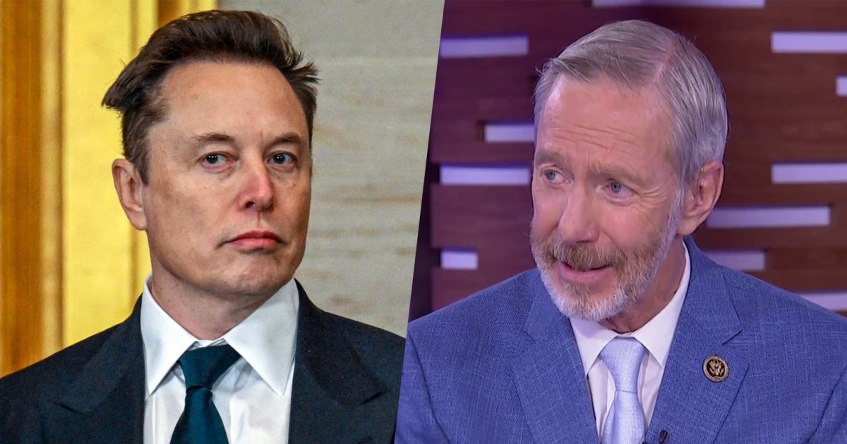 'Perfect time to bring Elon Musk in': Top Oversight Dem on threat of Musk