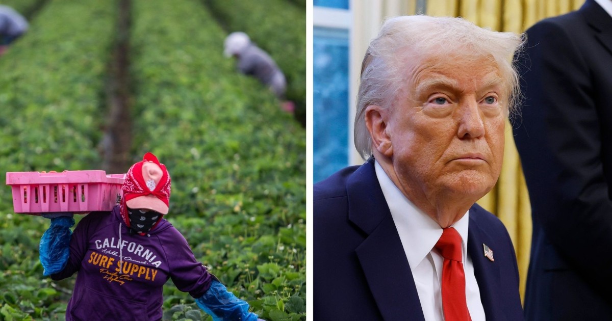 'There will be no safe spaces': Trump officials reverse guidance on immigration raids