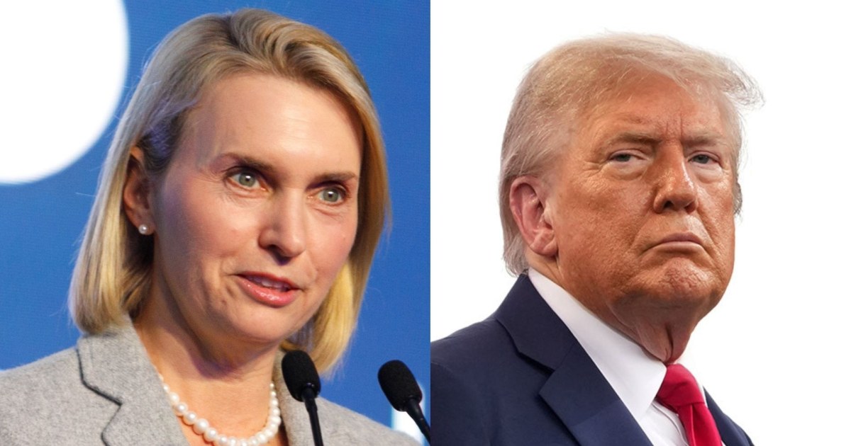 'Detrimental' and 'bad': Ex-ambassador slams Trump on Ukraine, launches bid for Congress