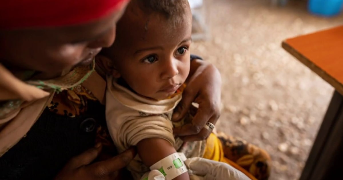 Refugees are 'America’s benefit'—not burden—as world hits record high in displacement