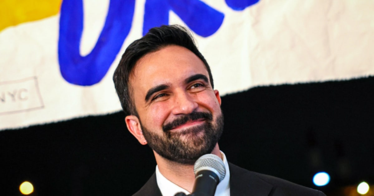 Democratic strategist: Mamdani’s NYC win represents ‘need for disruptive politics’