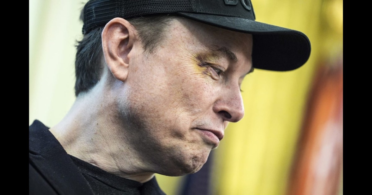 ‘We stole your ish’: The Weeknight hosts on why Elon Musk wants your data