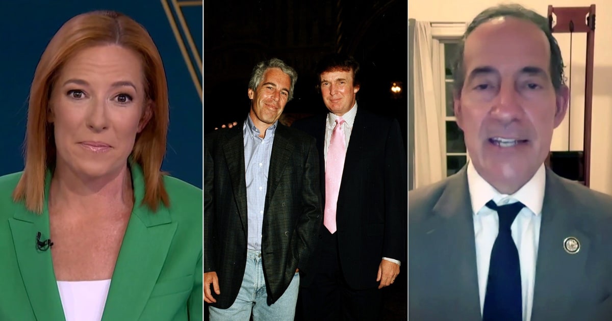 'Everything should be released': Raskin calls making Epstein files public