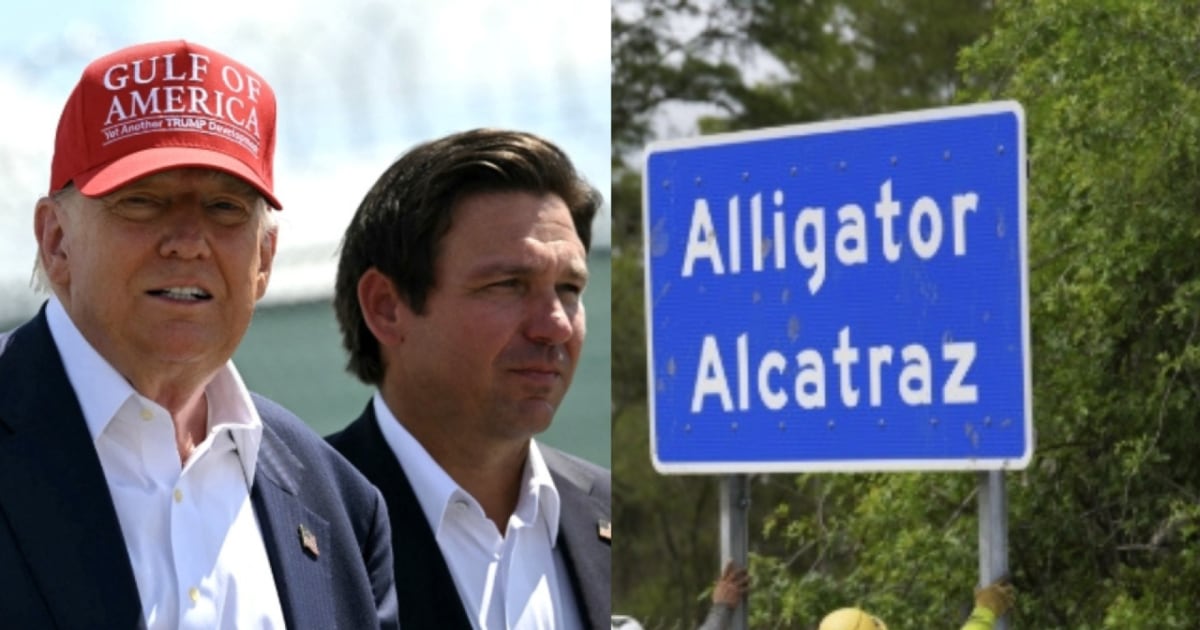‘We have animals in better conditions’: Florida Dem decries Trump’s ‘Alligator Alcatraz’ center