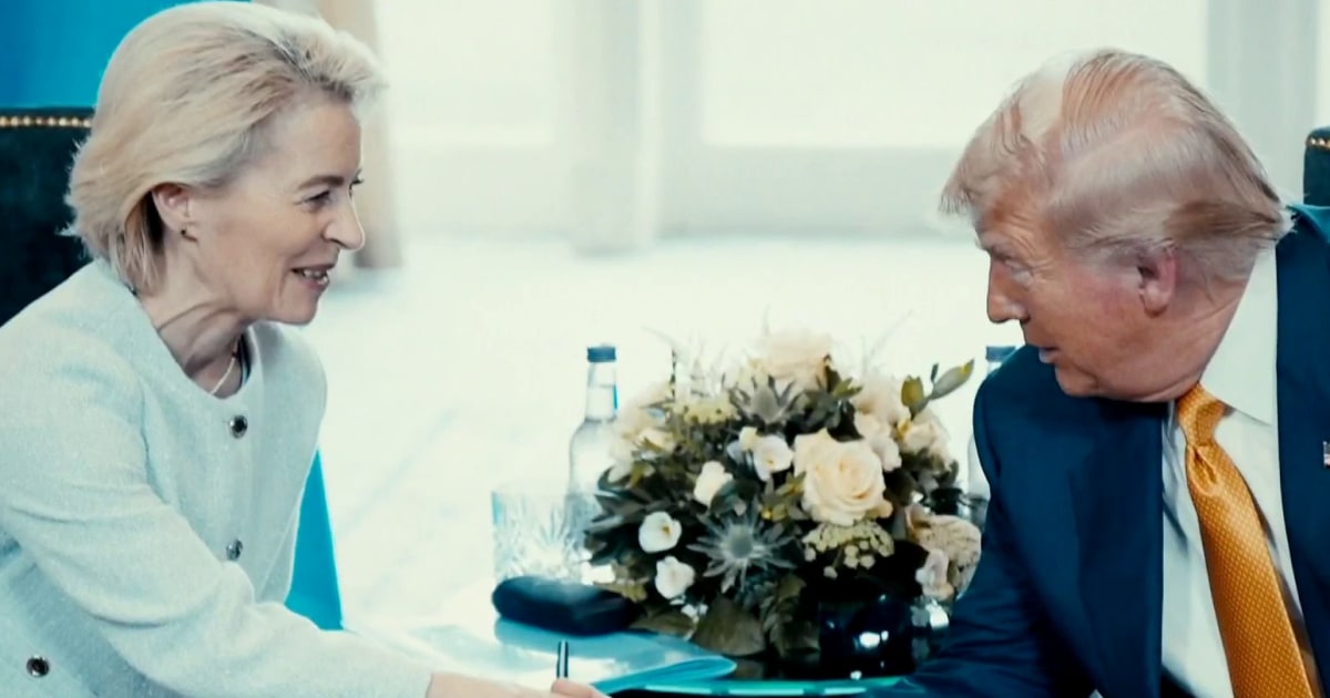 Trump outlines preliminary trade deal with European Union