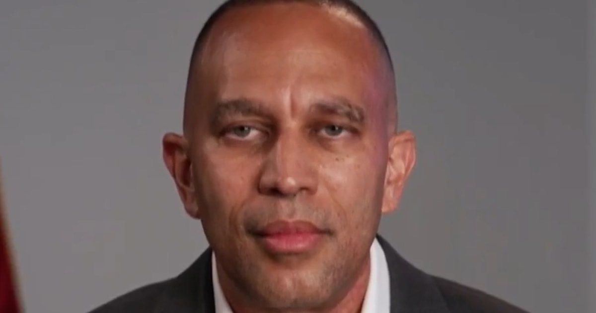 Hakeem Jeffries on Elon Musk's new political party
