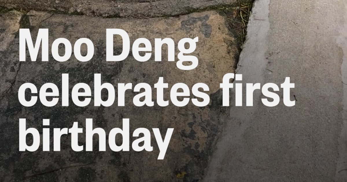 Moo Deng, the pudgy internet sensation, turns 1