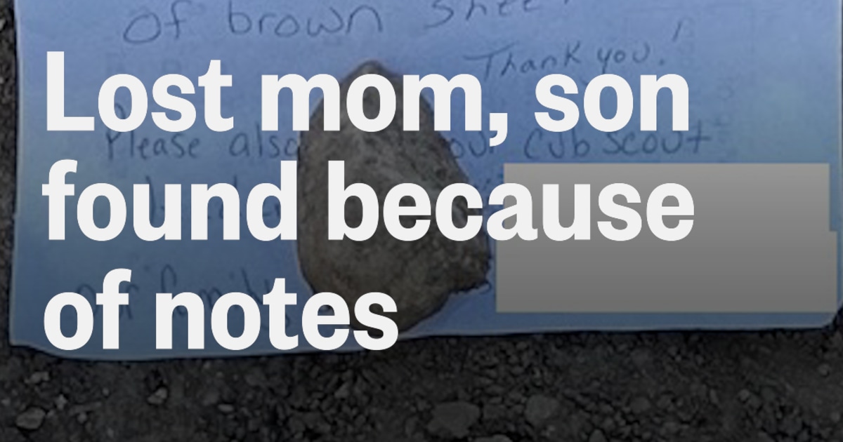 How rescuers found a mother and her son lost in the woods