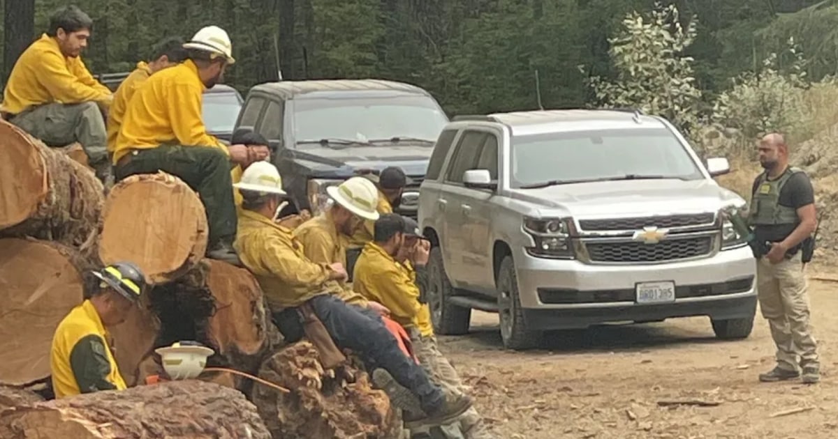 'F---ing crazy': ICE swoops in on firefighters in the middle of battling wildfire