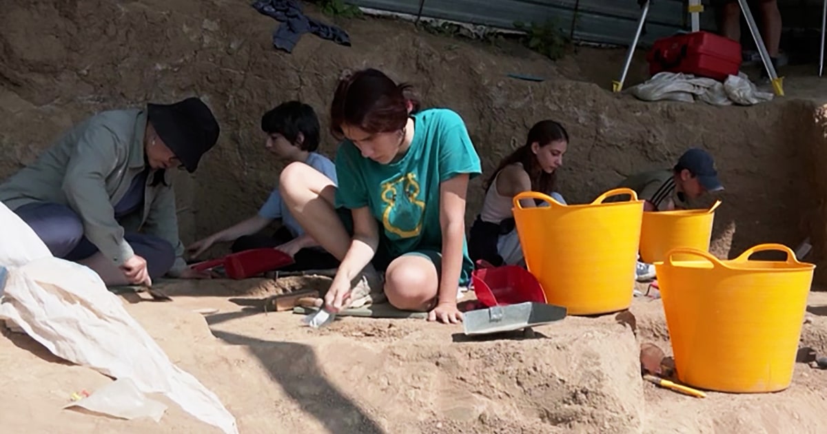 Archeologists in Georgia unearth 1.8-million-year-old human jawbone