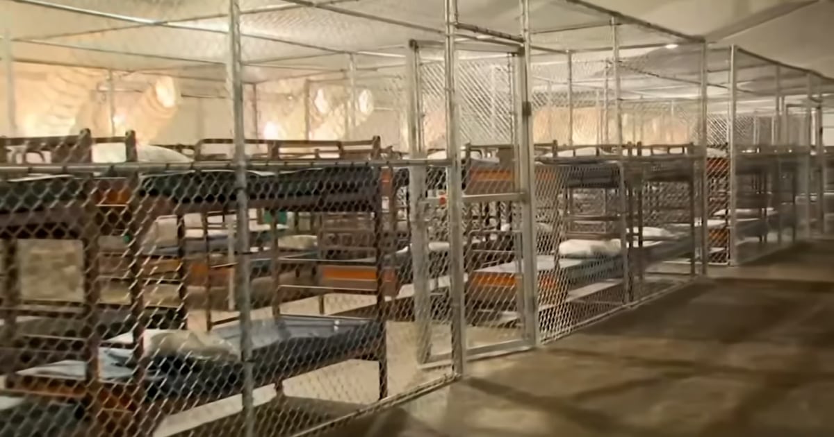 Detainees at ‘Alligator Alcatraz’ on hunger strike in protest of conditions