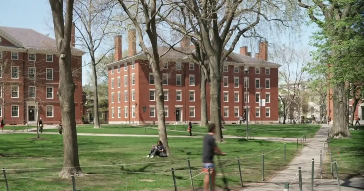 Federal judge rules Harvard grant freeze was illegal, violated free speech