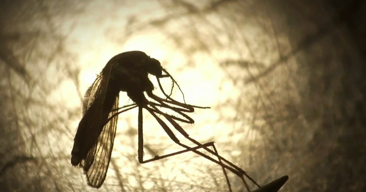 Health officials warn of rising West Nile virus cases