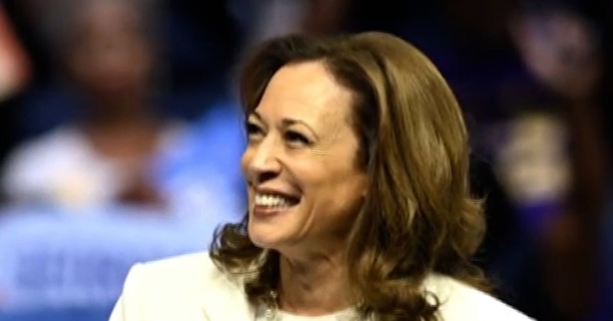 Harris calls Biden’s bid for re-election ‘reckless’