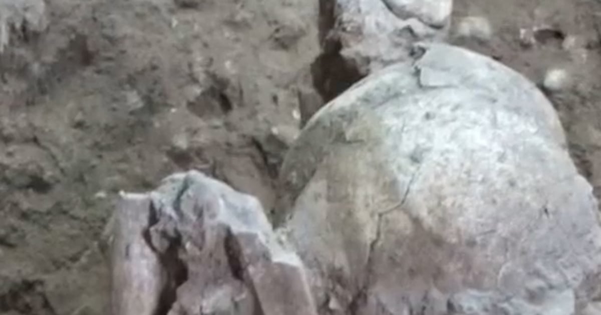 Scientists find world’s oldest mummies