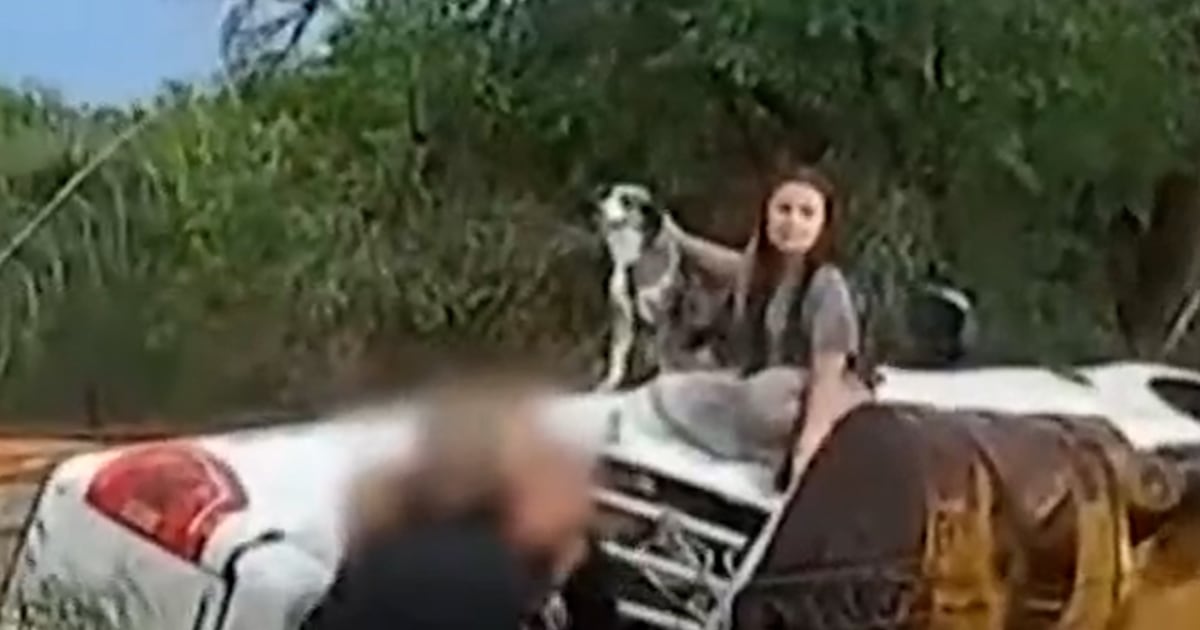 New Mexico police rescue household from flash flood
