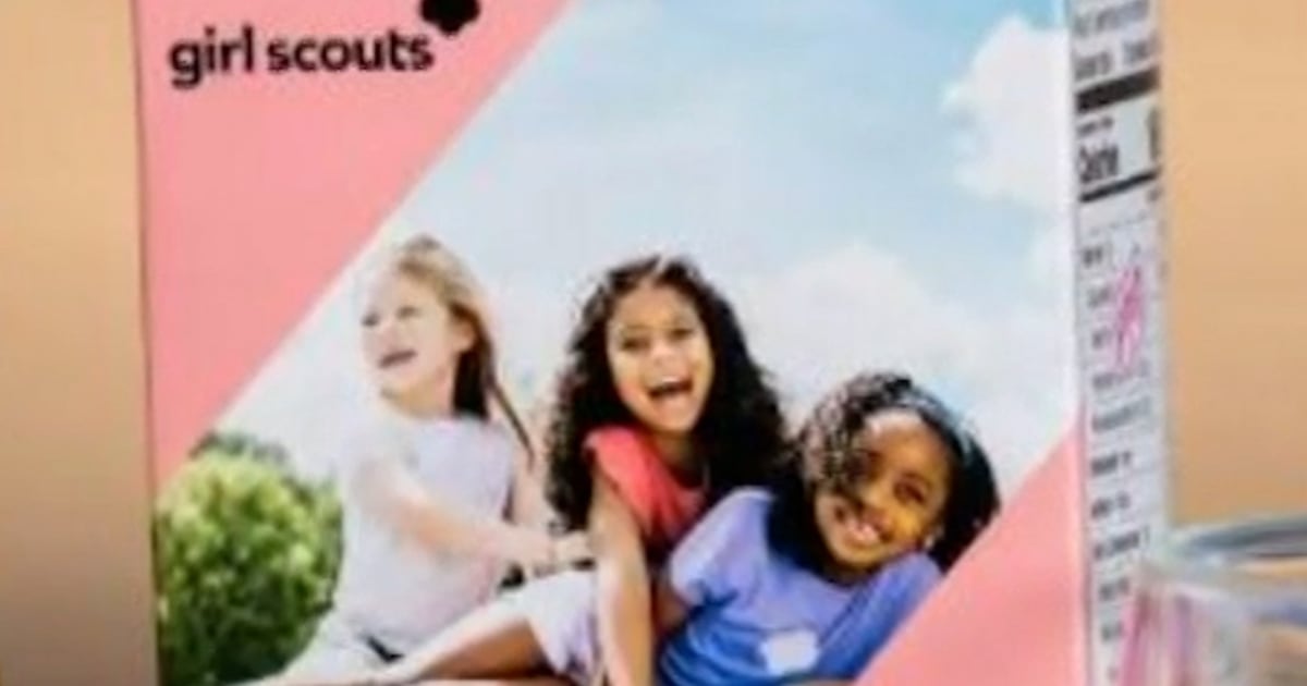 Girl Scouts introduce new cookie flavor 'Exploremores'