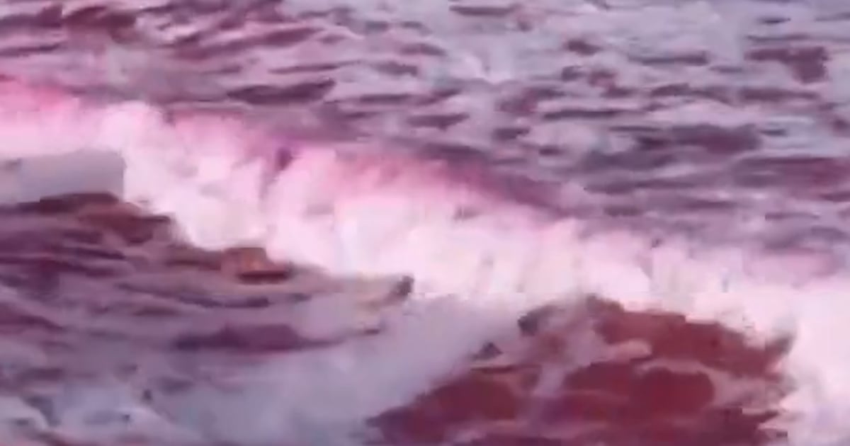 Pink dye tracks pollution at California beach