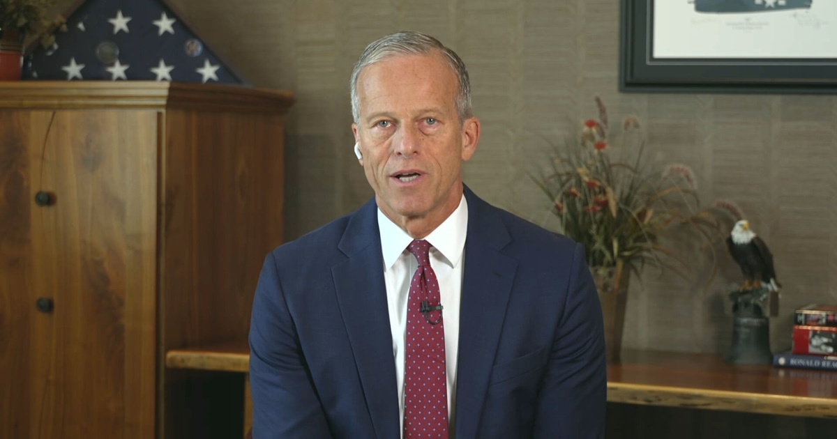 Leader Thune says government shutdown &lsquo;totally up to the Democrats&rsquo;: Full interview