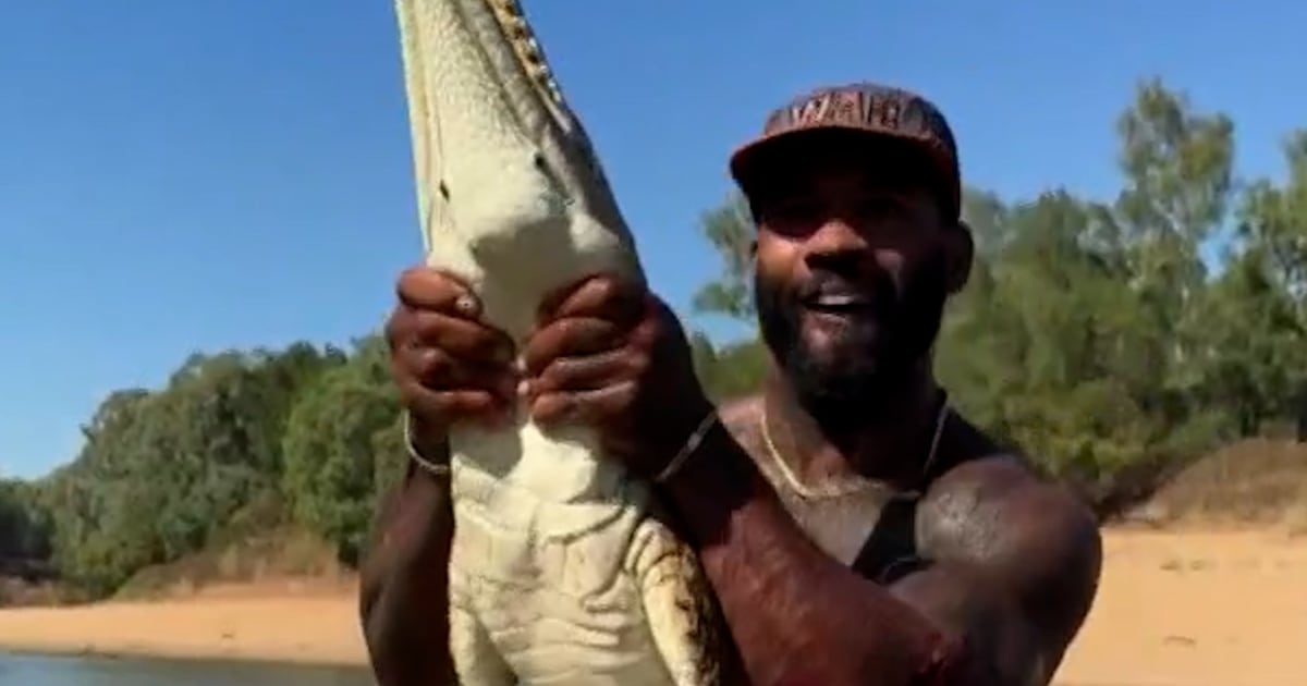 Influencer under investigation over crocodile wrangling