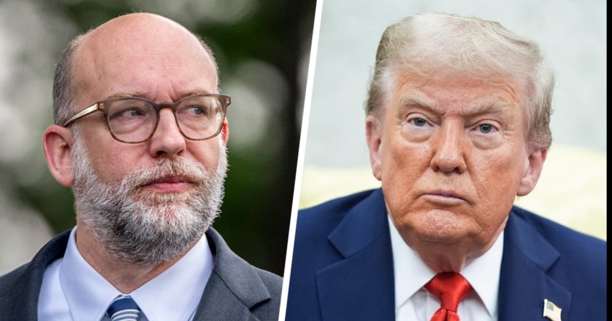 'They don't care': MSNBC Political Analyst says Trump admin's goal is to dismantle government