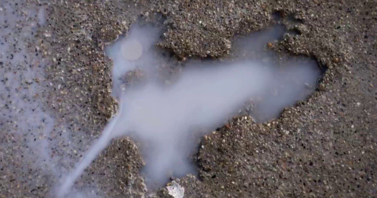 Chicago’s famous ‘rat hole’ likely not made by a rat, researchers say