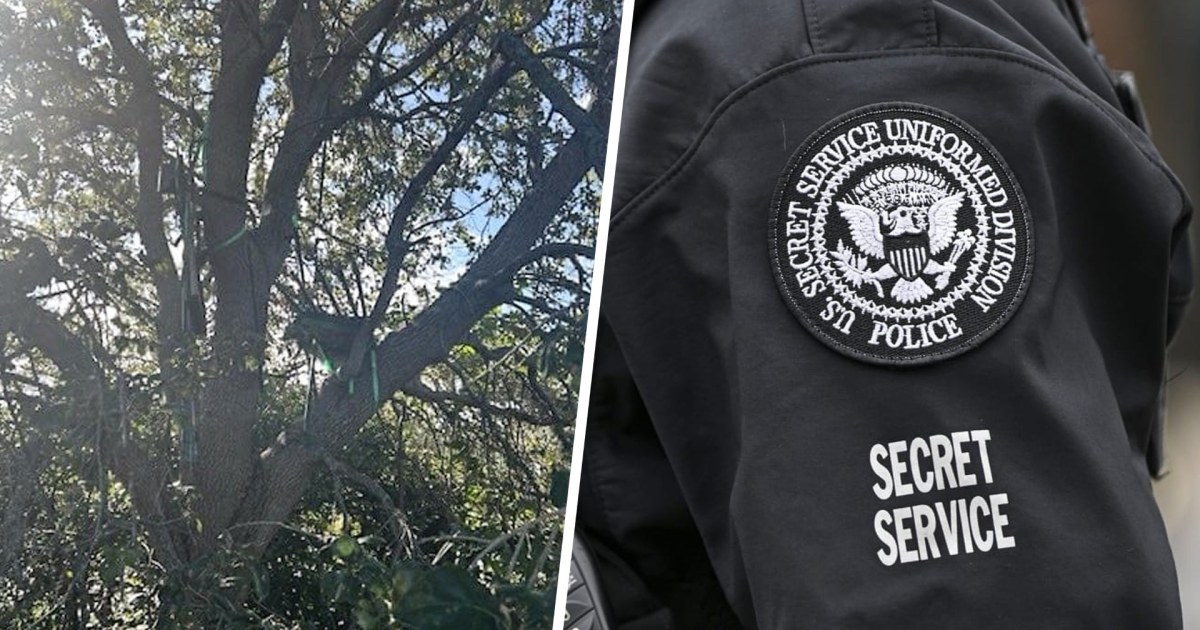 Secret Service discovered hunting stand with direct view of Air Force One at Florida airport