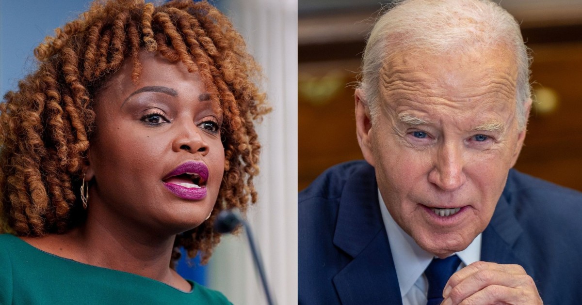 Broke my heart: Former WH press sec on how Democrats treated Biden as he ran for second term