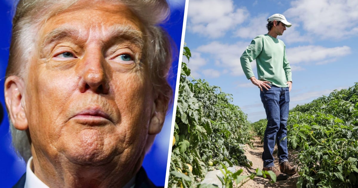 Economist: 'Real emergency for American soybean farmers' as Trump negotiates with China