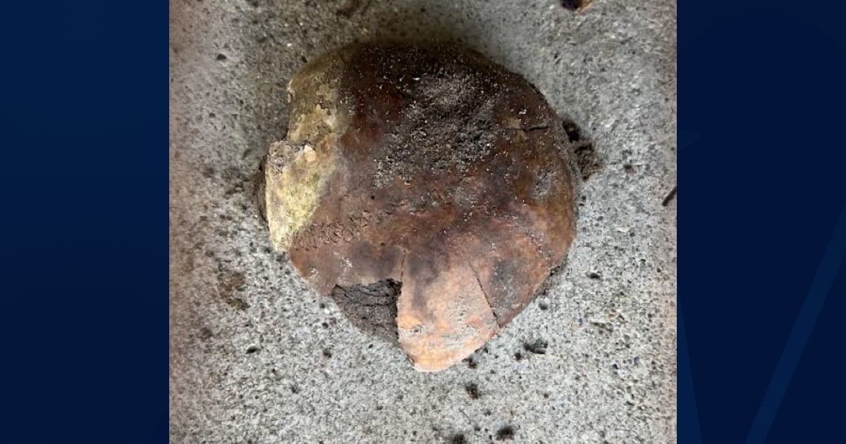 4,270-year-old human skull found along banks of Indiana's Whitewater River