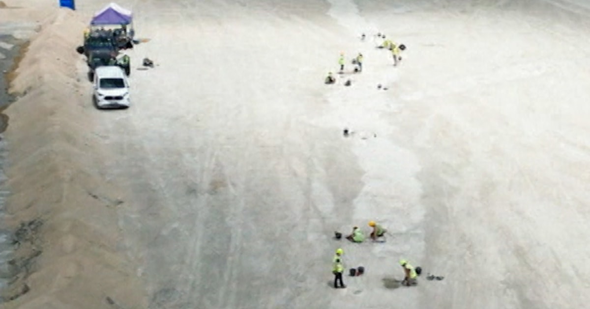 World's longest trail of dinosaur footprints uncovered