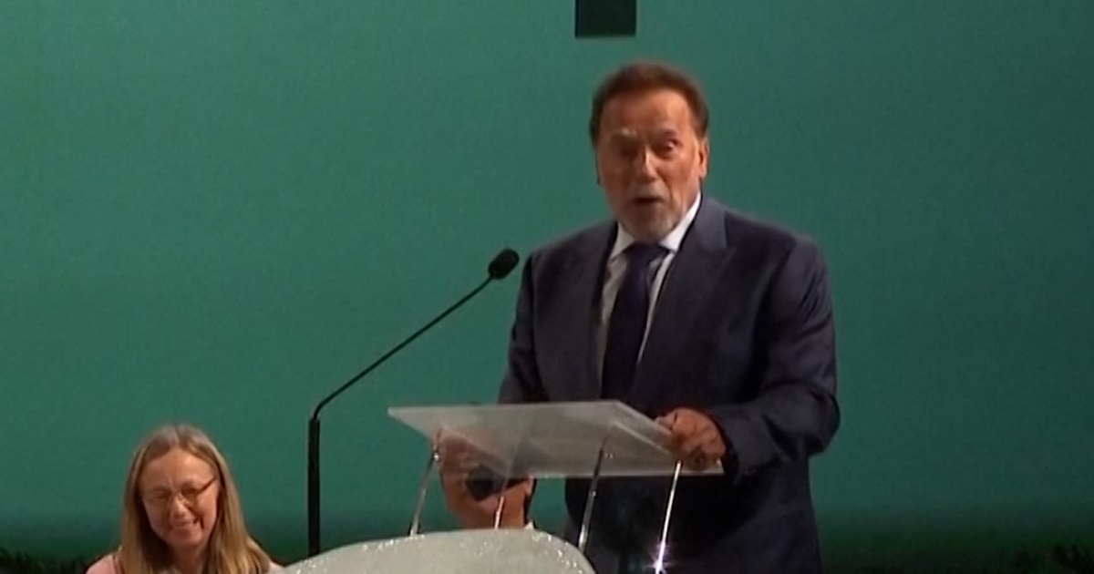 Schwarzenegger joins Pope Leo at climate change event
