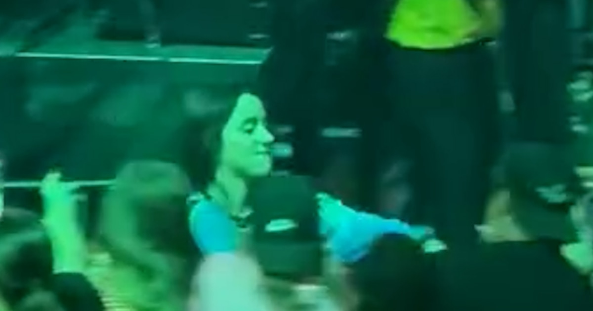 Billie Eilish violently pulled into crowd at concert Billie Eilish violently pulled into crowd at concert