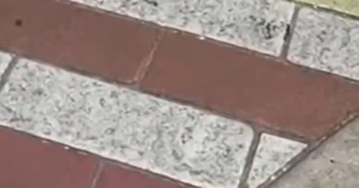 Rainbow brick crosswalk eliminated in Miami Seaside