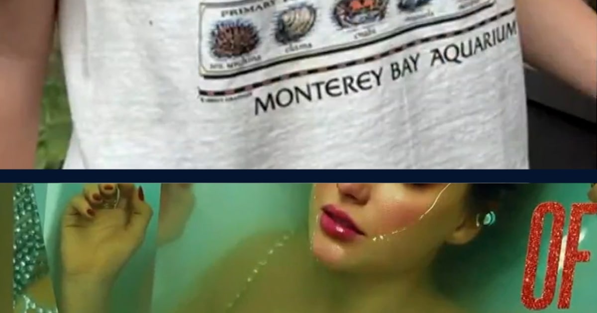 Swifties increase  million for Monterey Bay Aquarium