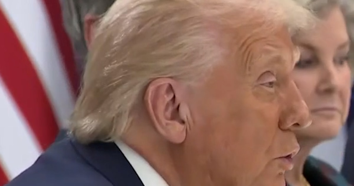 Trump says Xi meeting will ‘work out very, very well’