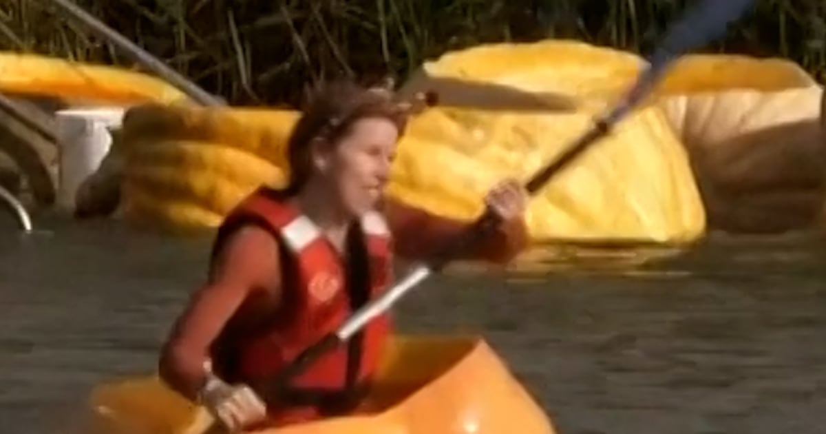 Belgians paddle in hollowed-out pumpkins for annual event