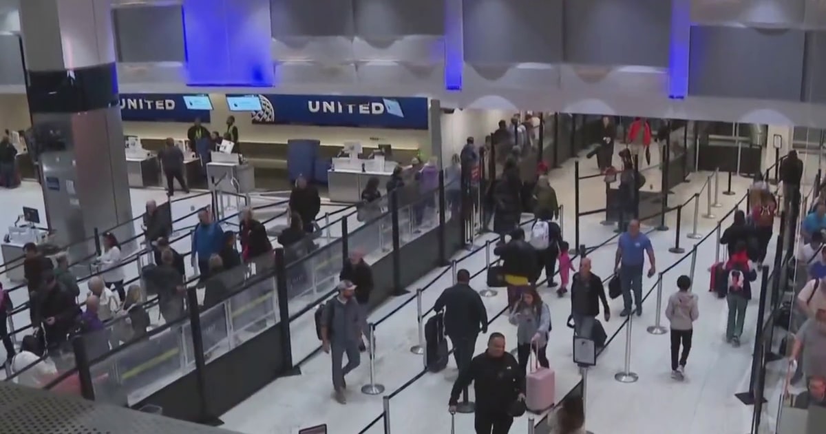 Transportation secretary: 10 percent of airspace will close if shutdown continues