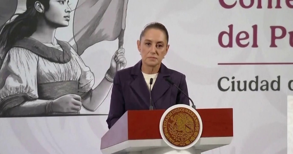 Mexican president to press charges after video shows her being groped